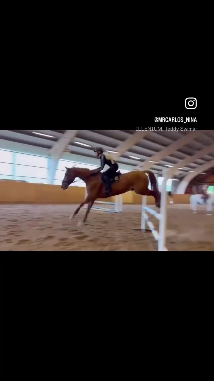 Allround hästar till salu: Ambitiös, välriden valack med kapacitet i Alingsås - Video 2