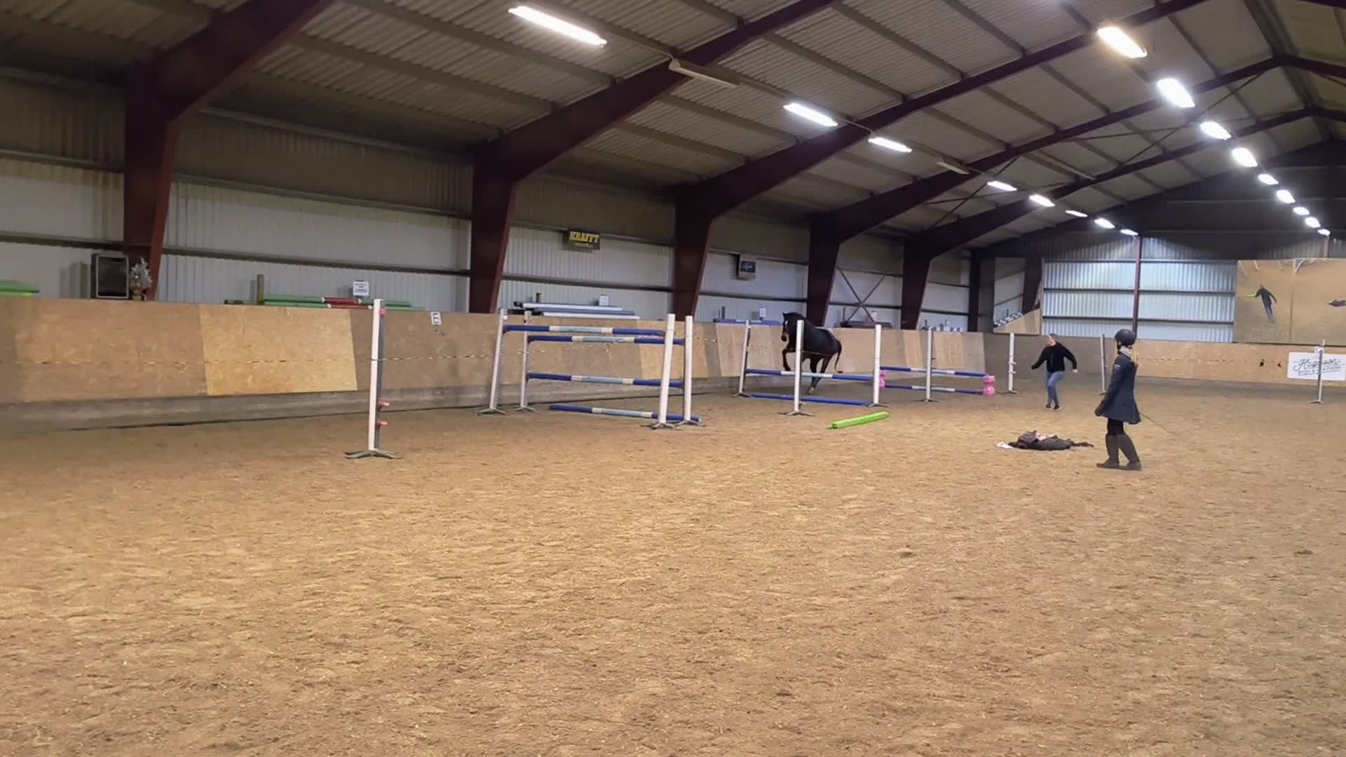 Hoppning hästar till salu: Superfint fullblod - Video 1