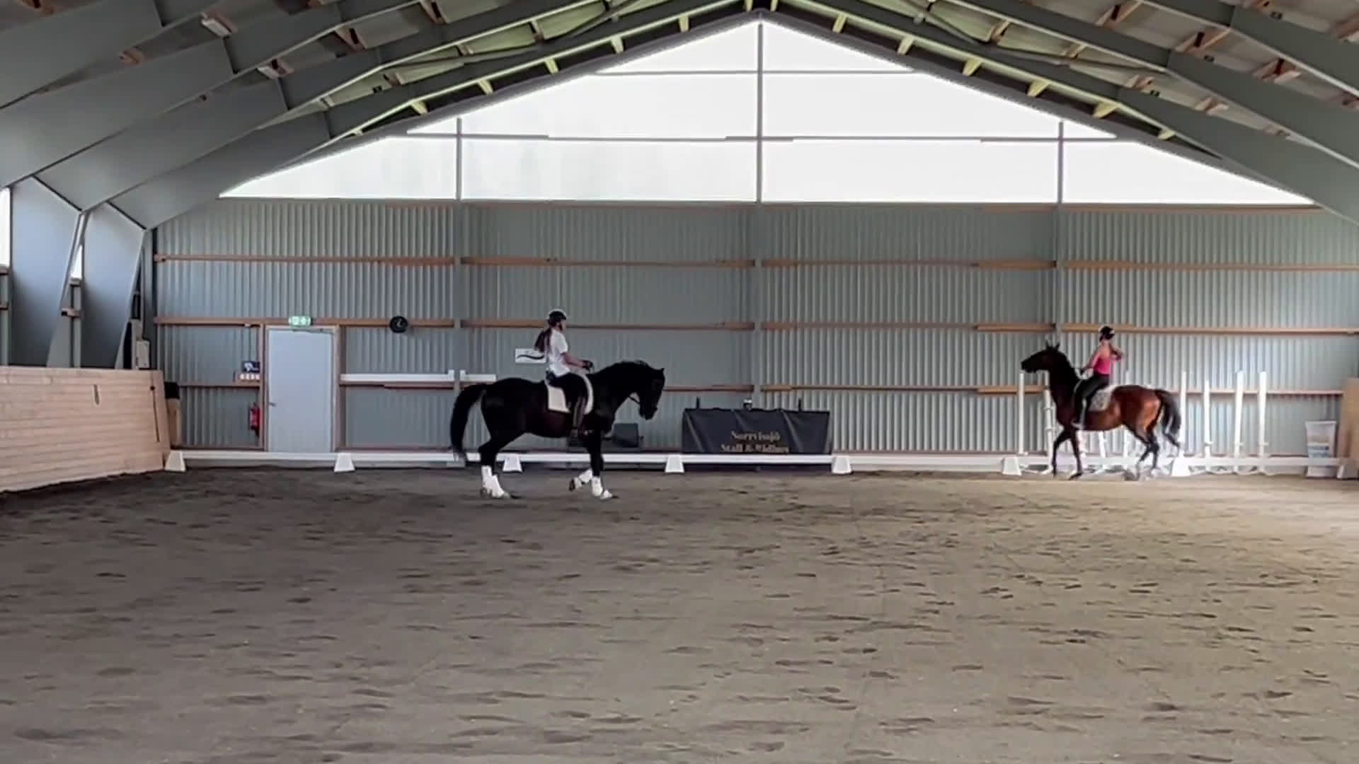 Dressyr hästar till salu: Flott dressyrvalack, läromästare i Uppsala - Video 1