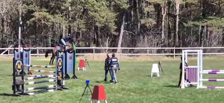 Hoppning hästar till salu: Fantastiskt fin valack för framtiden - Video 1
