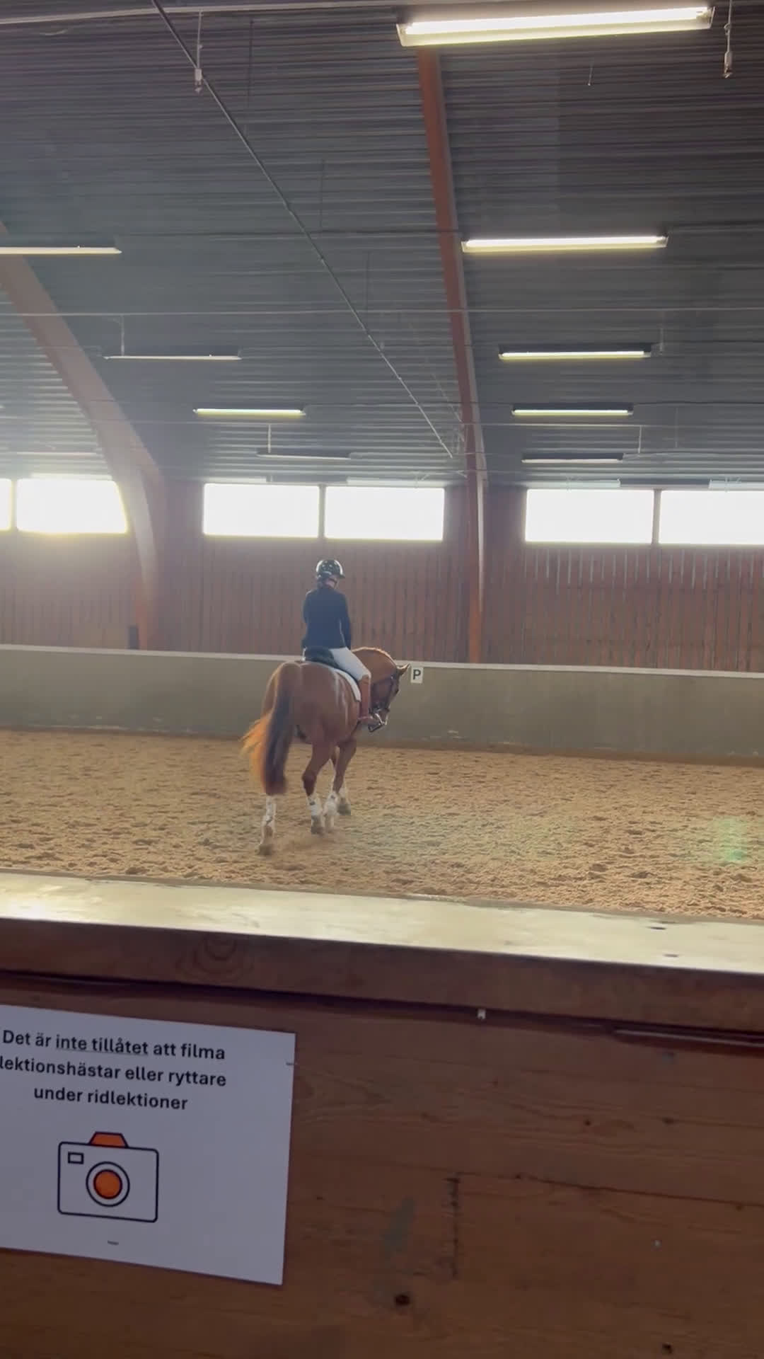 Dressyr hästar till salu: Härlig Snygg Valack Säljes! - Video 1