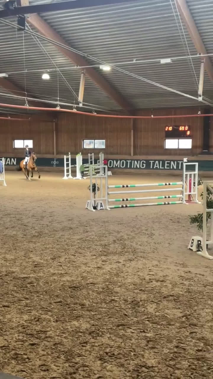 Allround hästar till salu: Lyxig hobbyhäst i Täby - Video 3