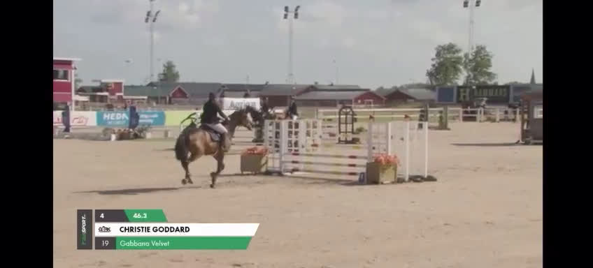 Hoppning hästar till salu: Läromästare i hoppning, perfekt juniorhäst  i Sparreholm - Video 1