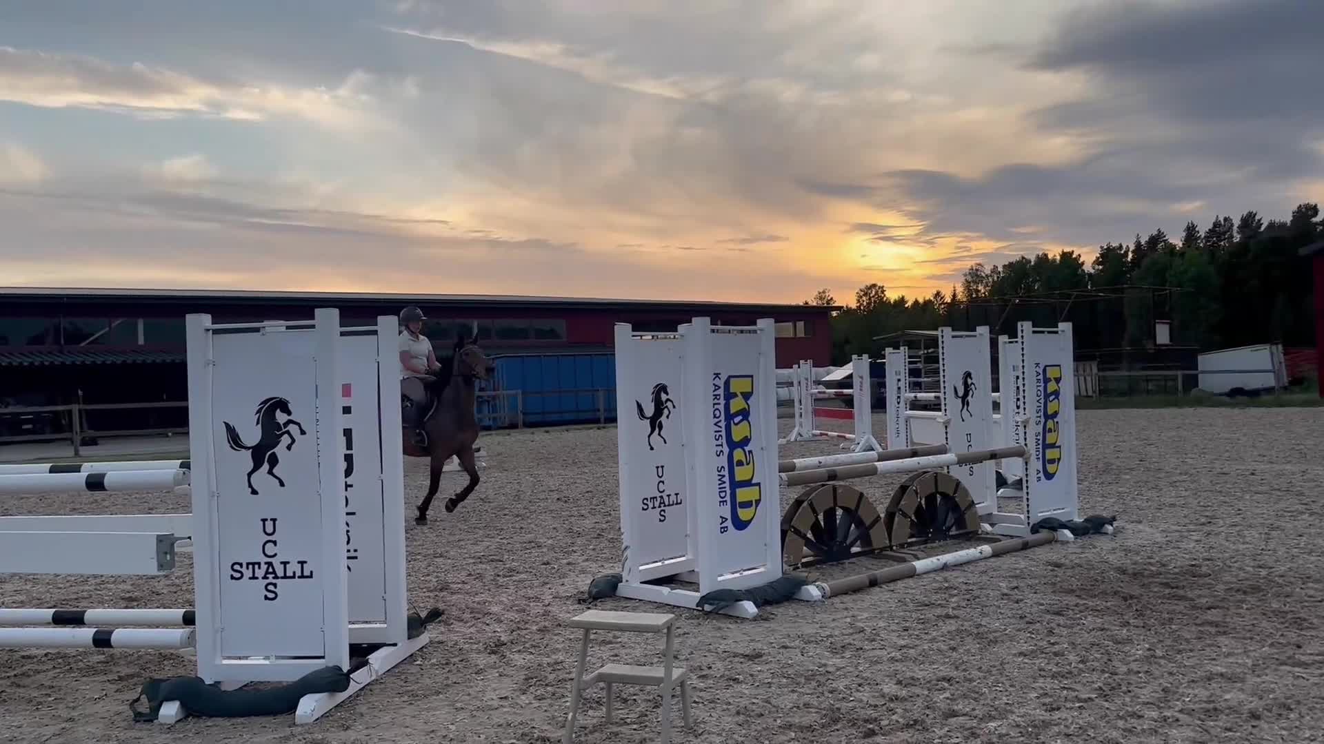 Allround hästar till salu: Perfekt första ponny/ bästa vän - Video 1