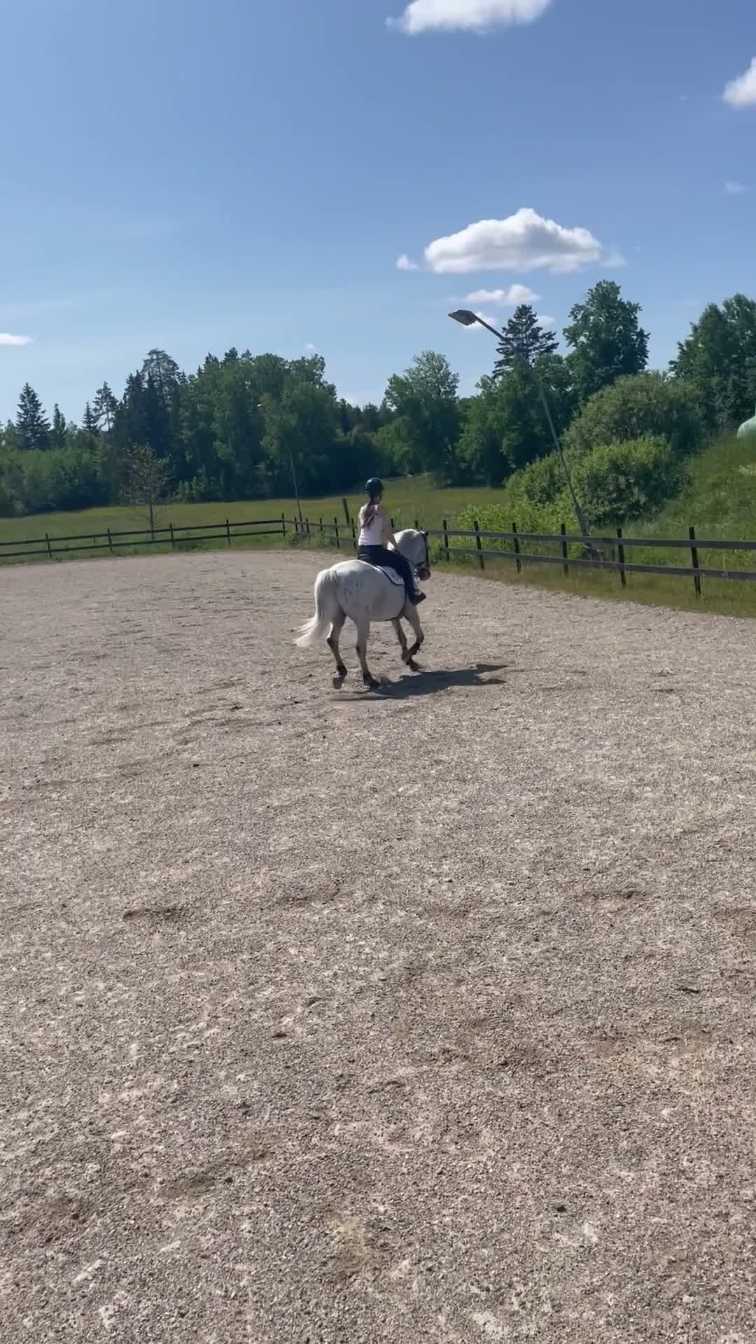 Hoppning hästar till salu: Ponny med största hjärtat säljes - Video 2