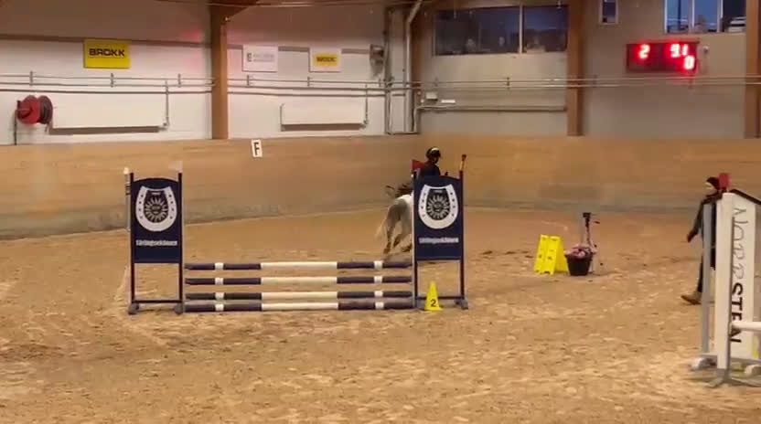 Hoppning hästar till salu: En kvalitetsponny!  i Skellefteå - Video 4