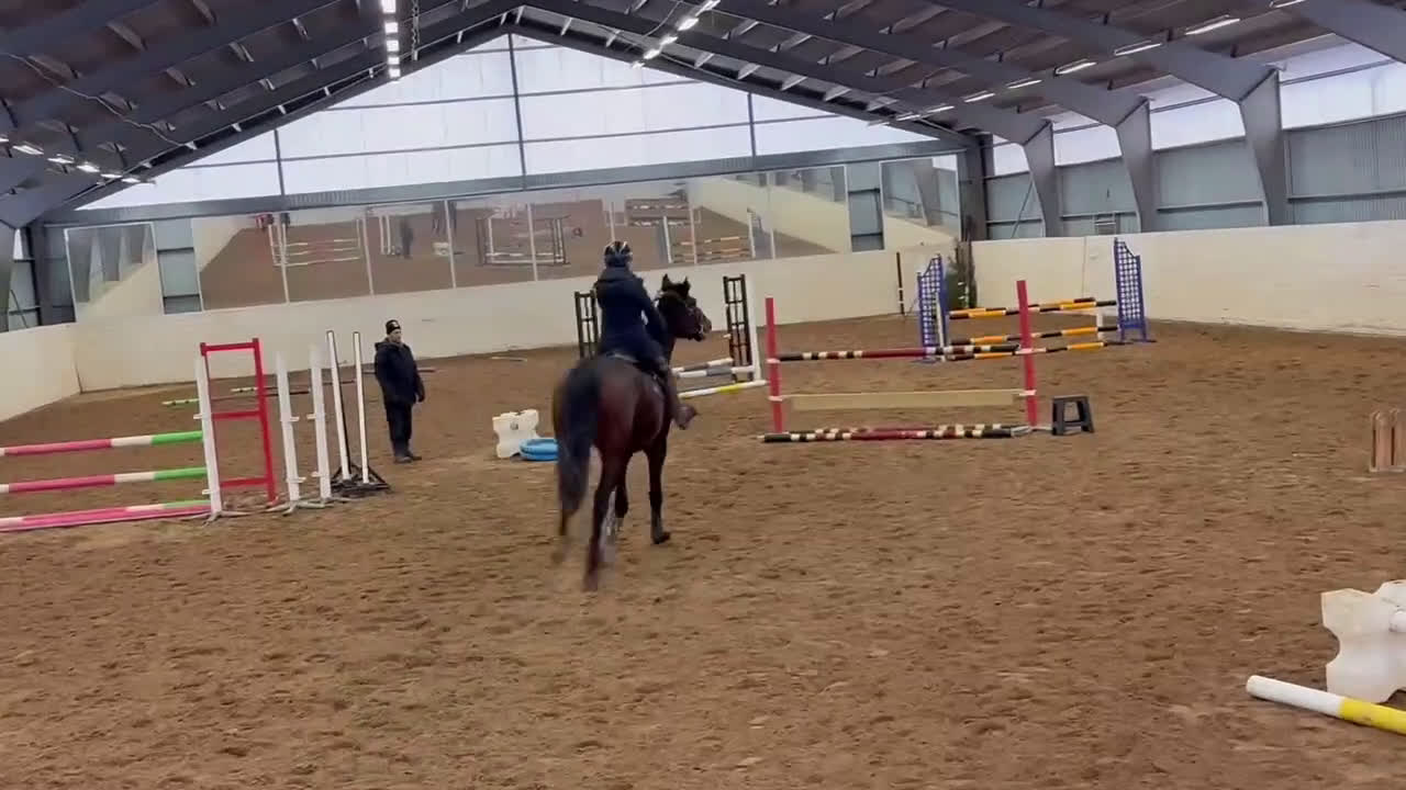 Allround hästar till salu: Lovande unghäst - Video 1