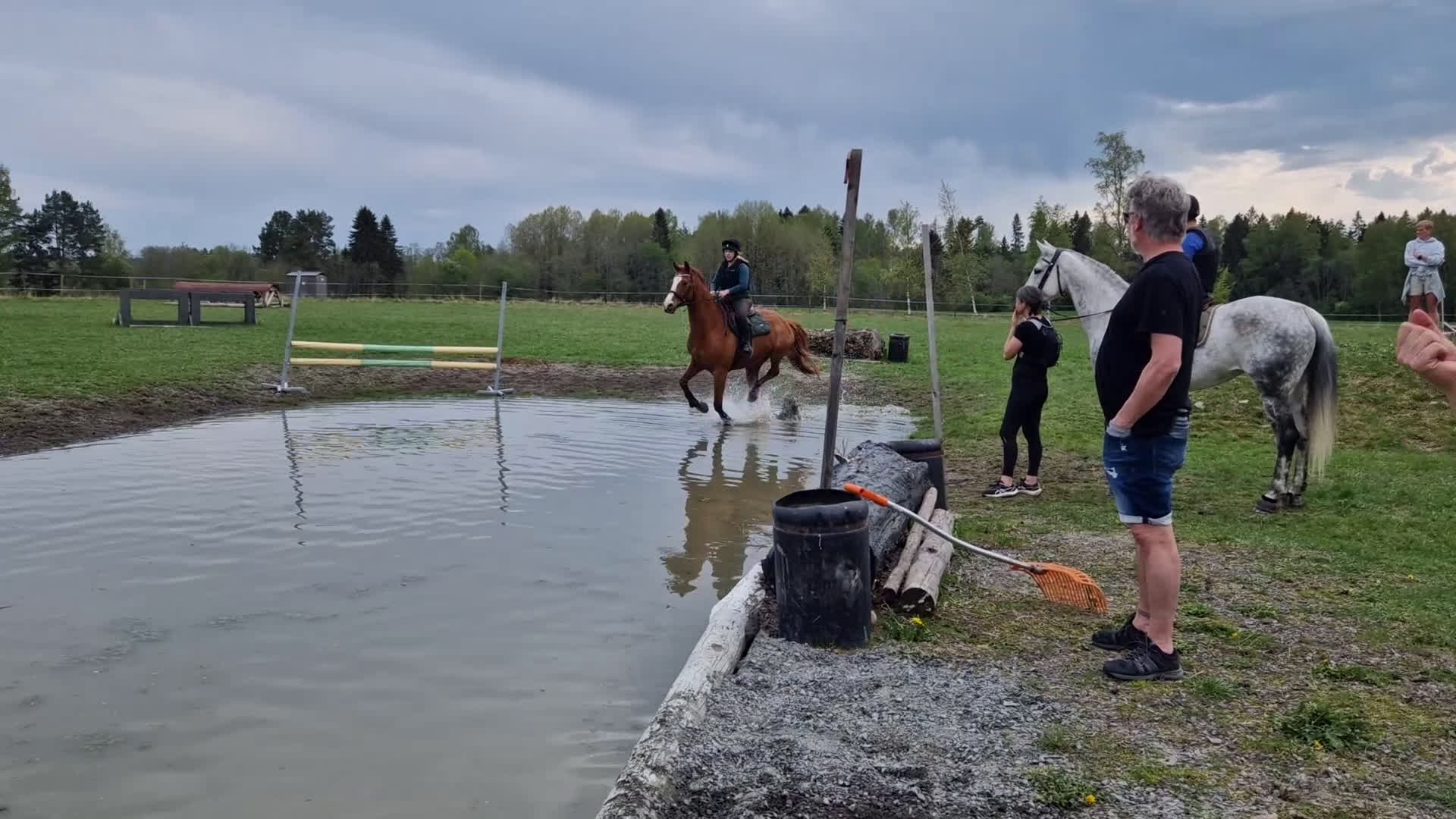 Allround hästar till salu: En bästa vän att ha roligt med! i Karlstad - Video 3