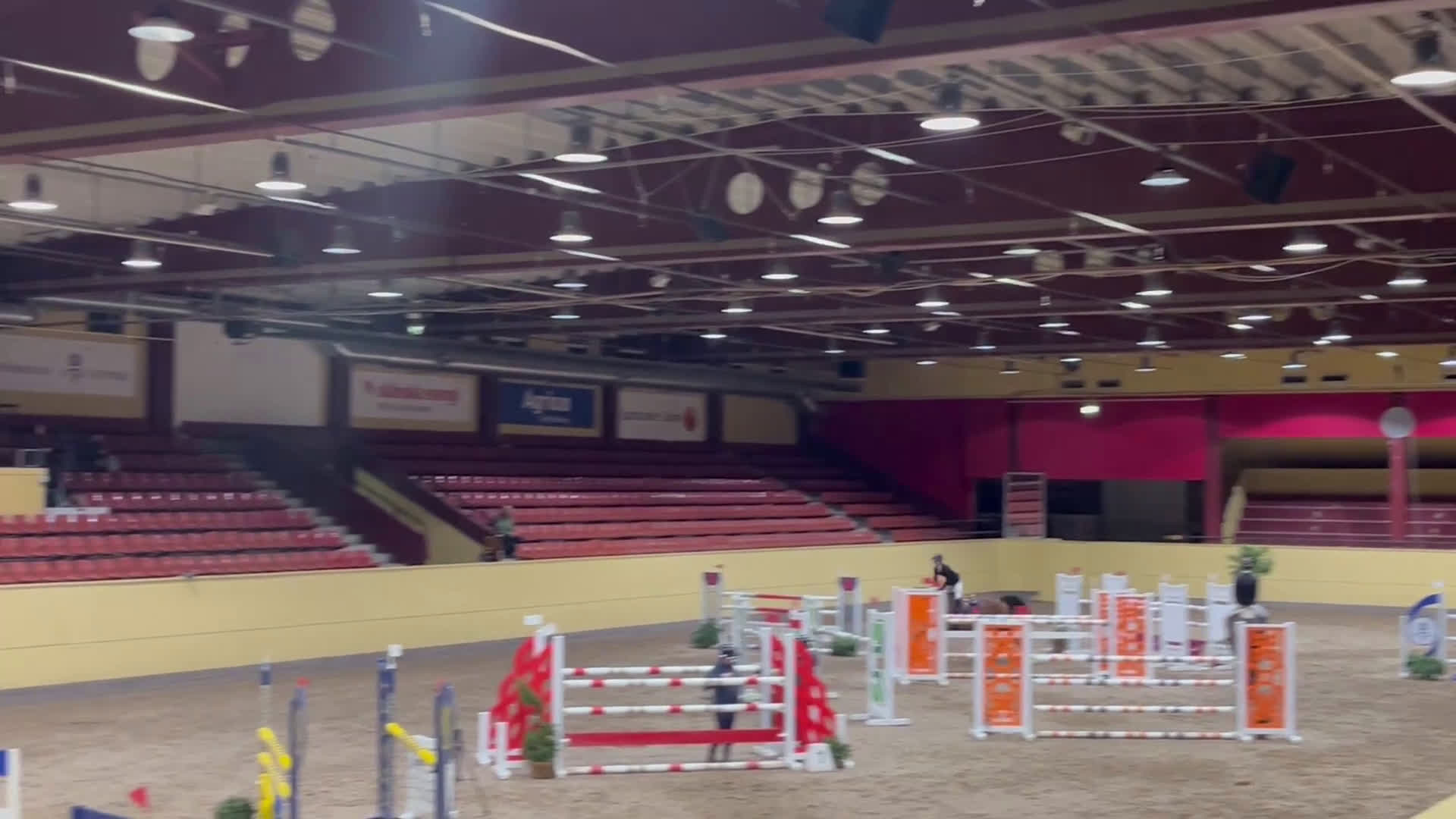 Hoppning hästar till salu: Lovande 6 åring e. Casallco i Hörby - Video 1