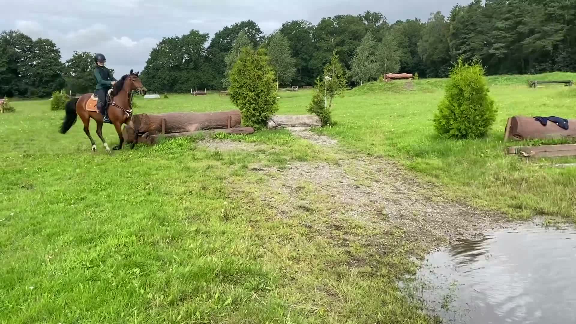 Allround hästar till salu: Pigg välriden ponny i Lund - Video 4