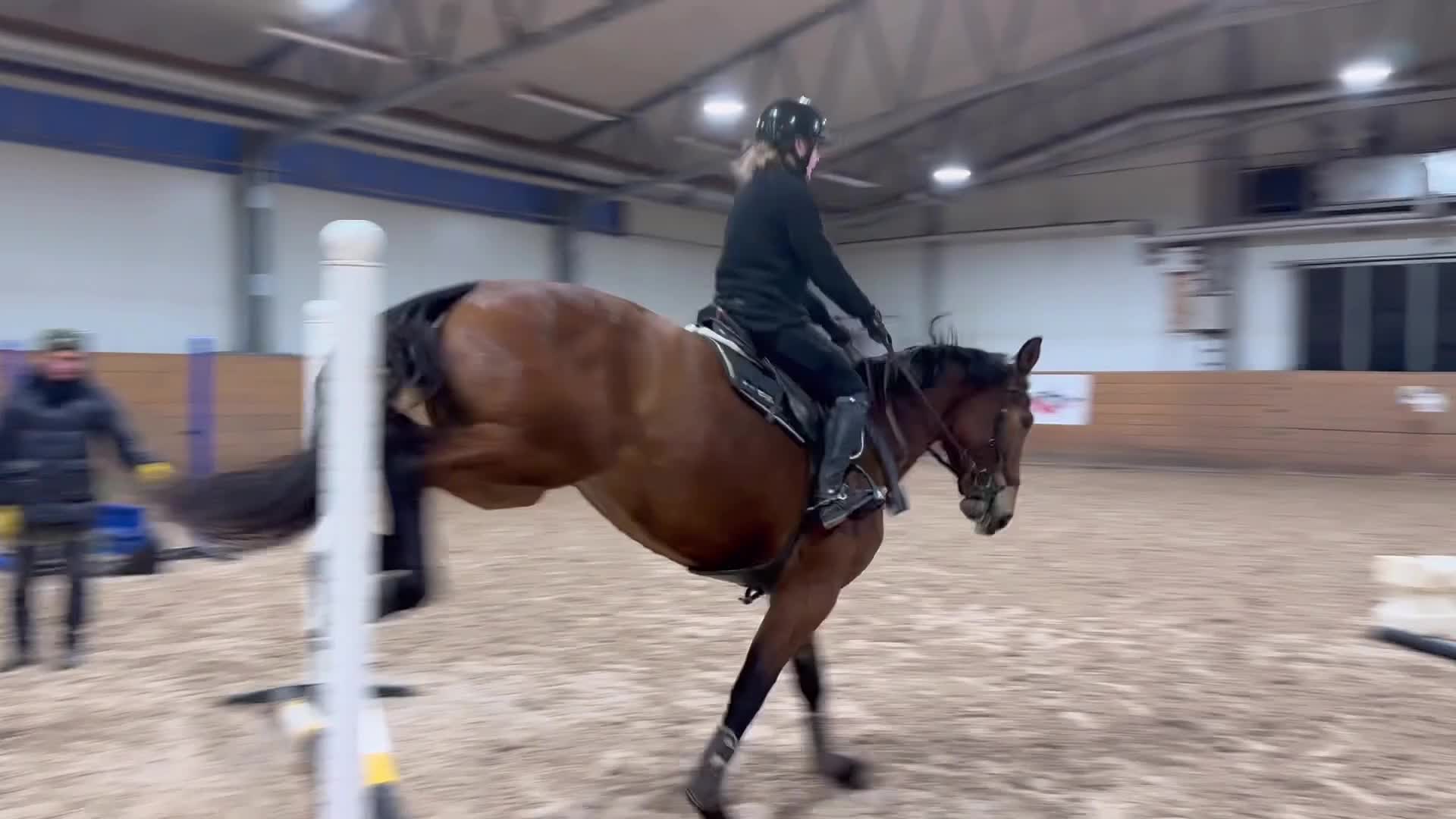 Hoppning hästar till salu: Trevligt sto - Video 5