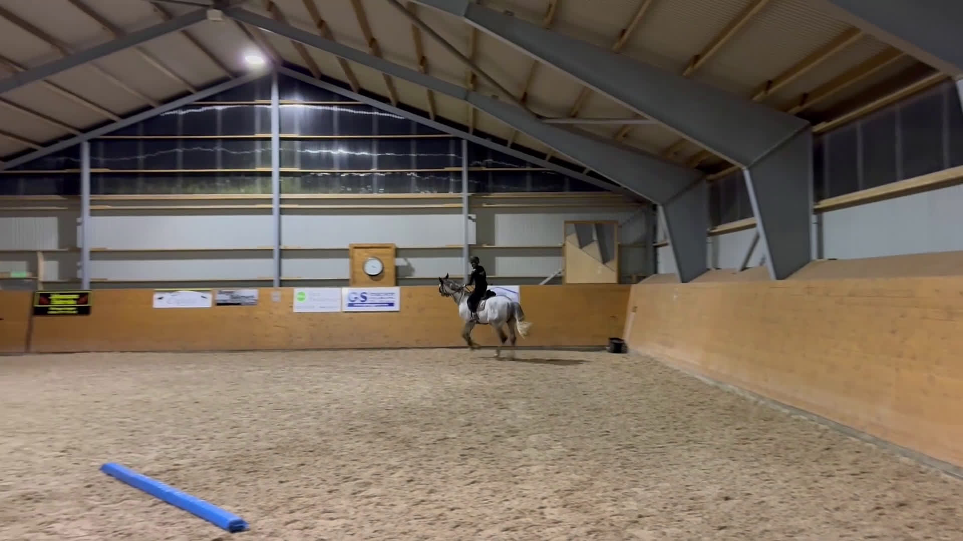 Allround hästar till salu: Världens finaste kille söker ny bästavän🦄🌟 i Halmstad - Video 3