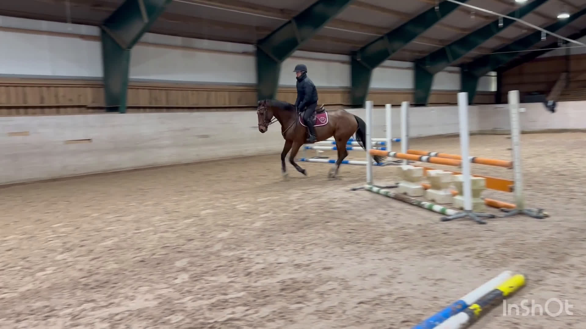 Hoppning hästar till salu: Rolig häst med kapacitet i alla grenar! i Kil - Video 1