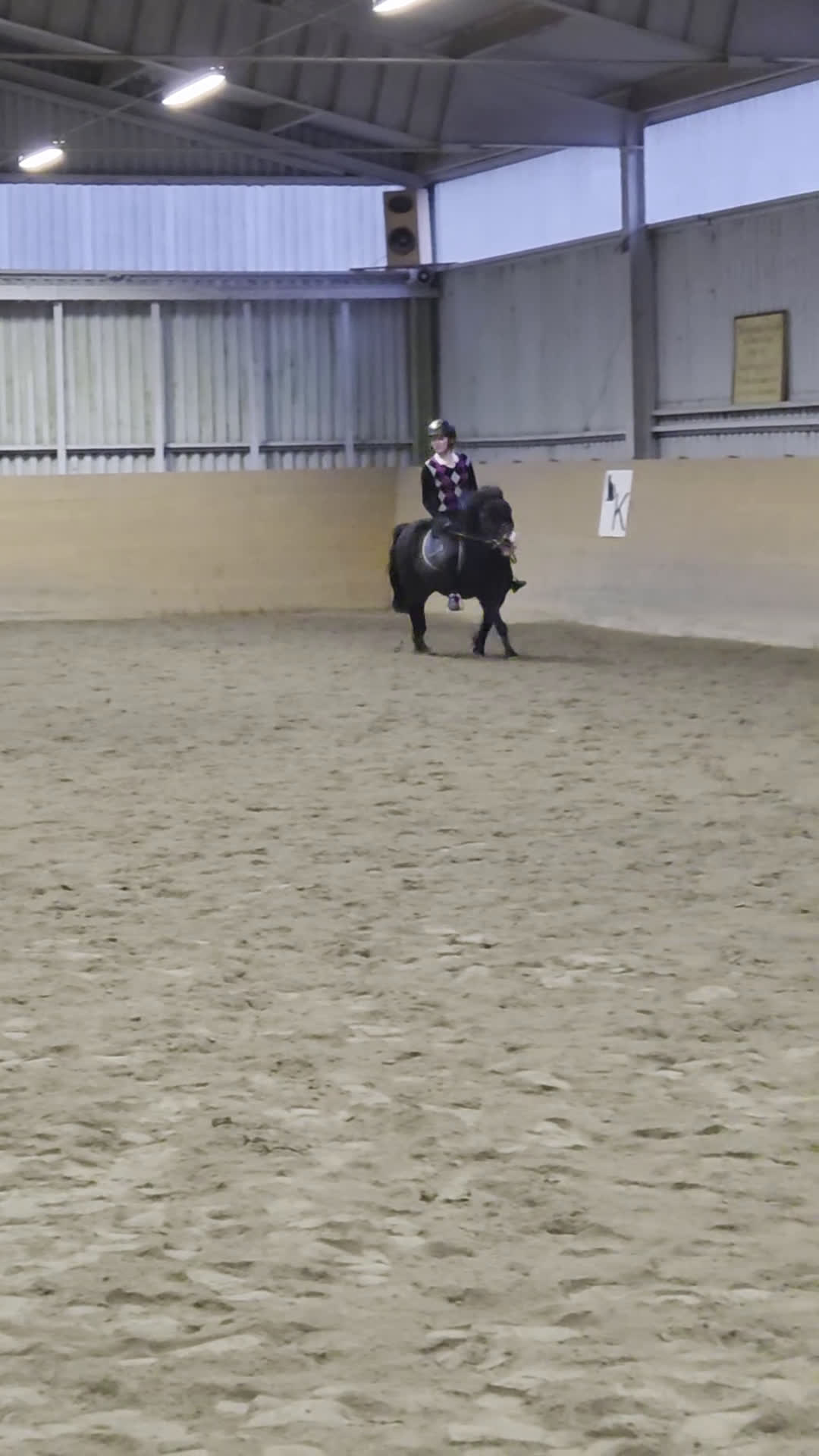 Allround hästar till salu: Supersnäll barnponny i Vintrosa - Video 3