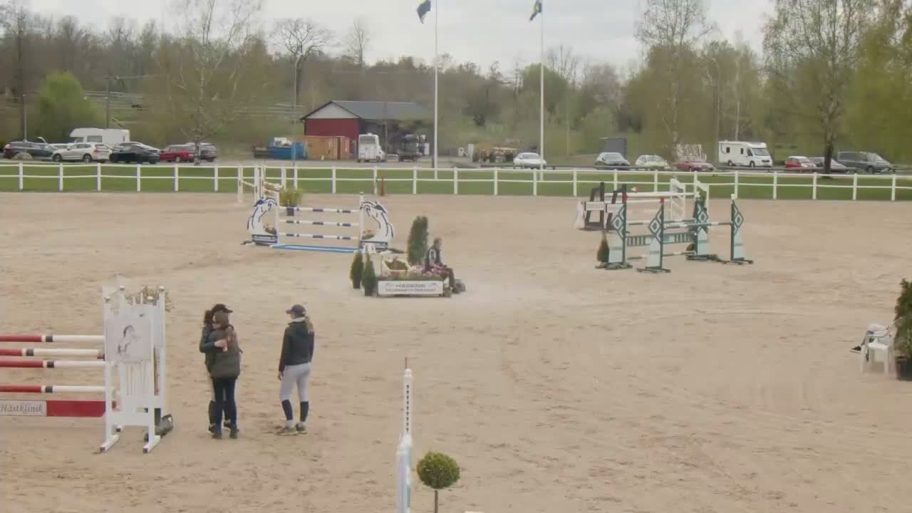 Hoppning hästar till salu: Snäll och okomplicerad läromästare! - Video 2