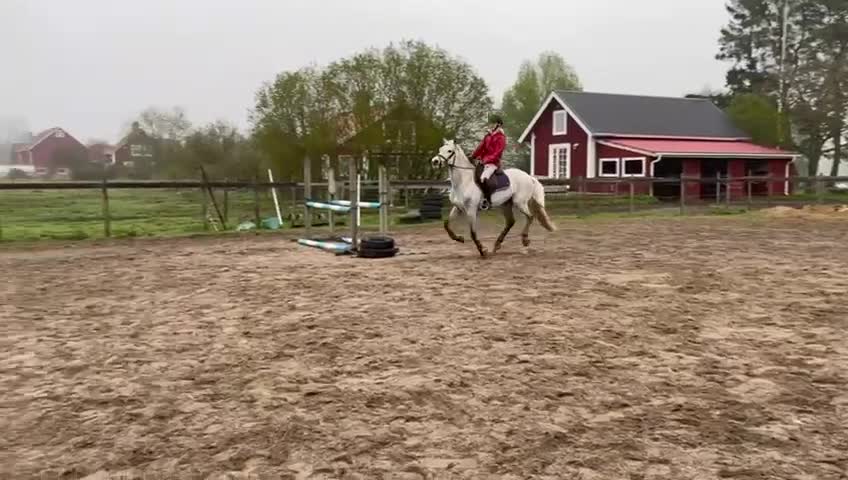  hästservice finnes: Utbildning/tillridning/försäljning/tävling i Stora Mellösa - Video 3