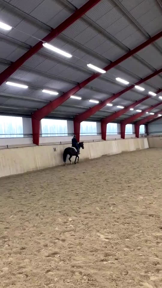 Allround hästar sökes: Foderhäst sökes i Vikbolandet - Video 1