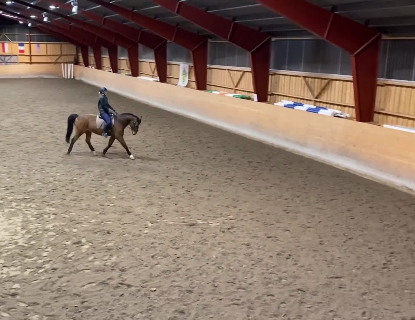 Allround hästar till salu: Snäll, välskolad läromästare  i Märsta - Video 2