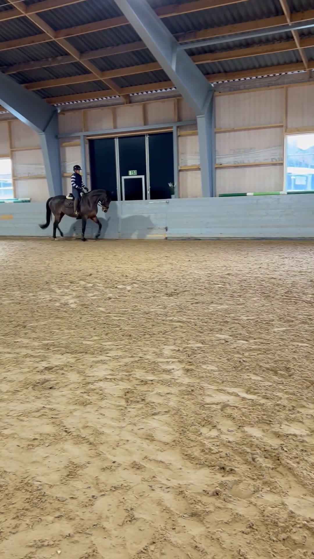 Allround hästar till salu: Toppstammad häst för varierad ridning i Sigtuna - Video 3