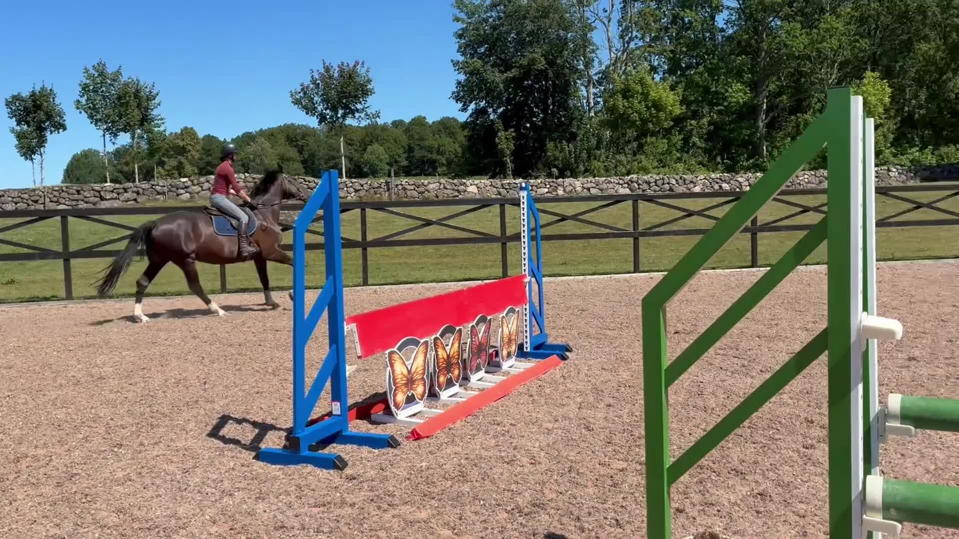 Hoppning hästar till salu: Sto med mykt motor - Video 1