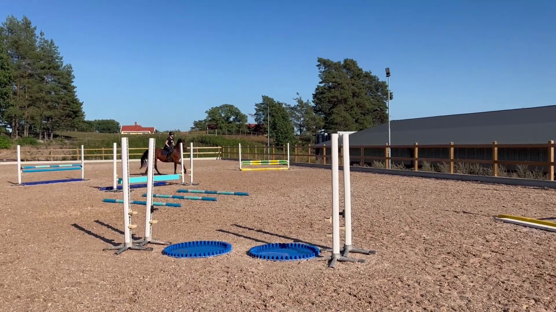 Dressyr hästar till salu: För dig som söker en bästa vän! i Norrköping - Video 2