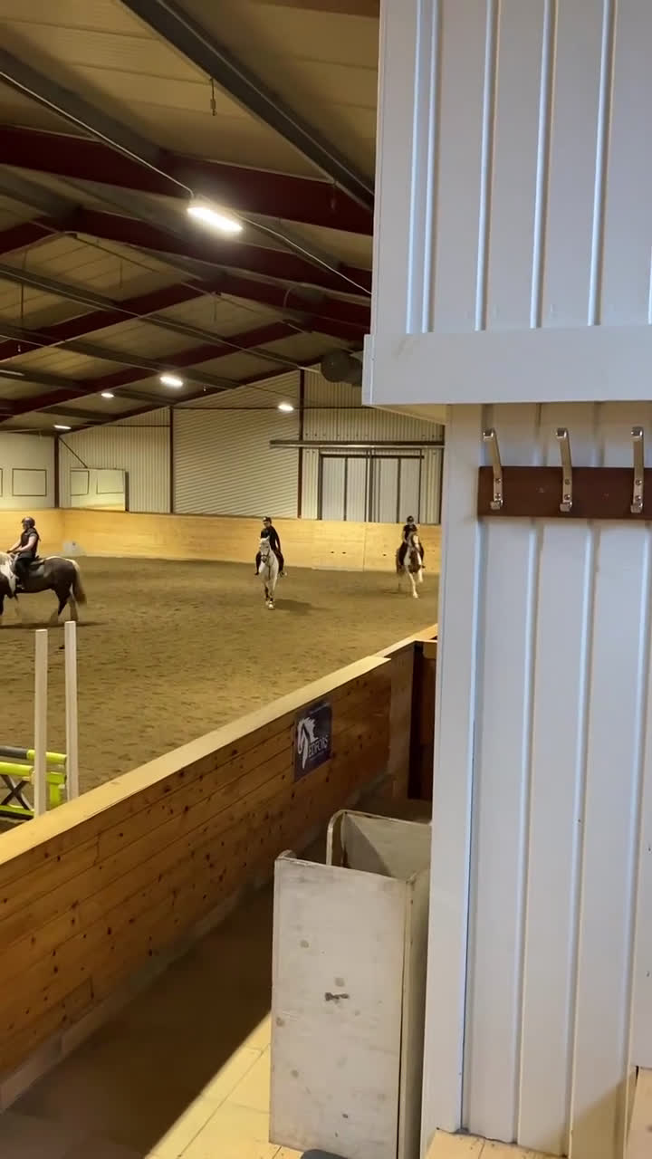 Allround hästar sökes: Foderhäst !sökes! - Video 4