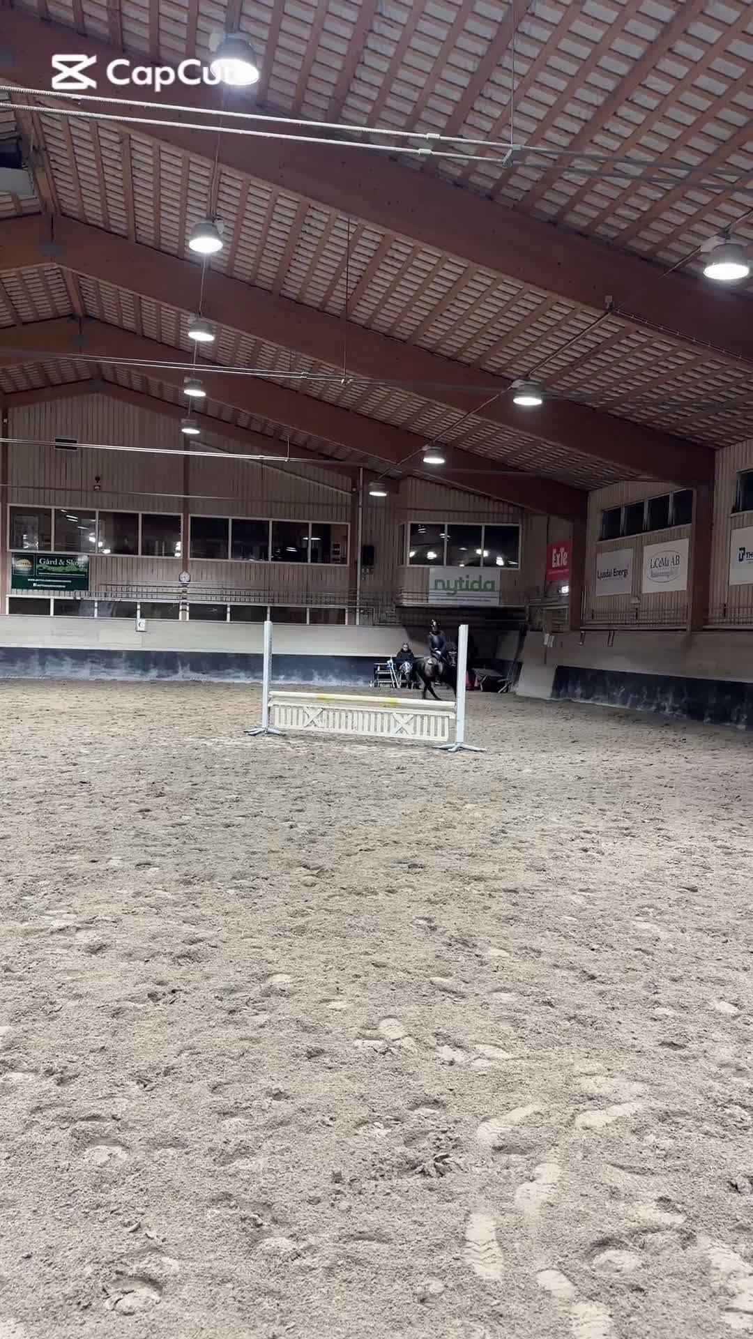 Allround hästar till salu: Trevlig dartmoorponny! - Video 2