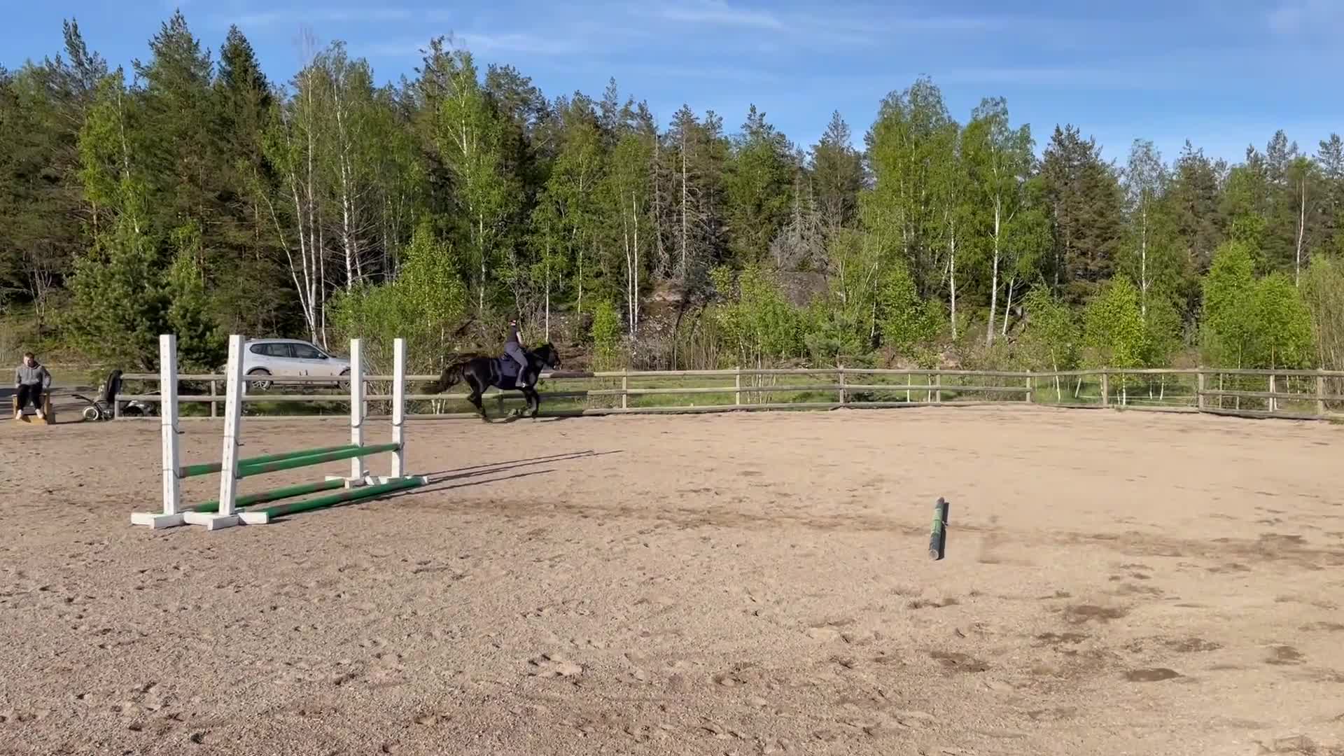 medryttarhäst finnes: Medryttarhäst finnes Vaxholm i Vaxholm - Video 1