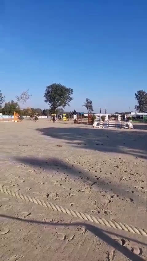 Hoppning hästar till salu: Talangfull Fälttävlanshäst med Kapacitet  i Harlösa - Video 1