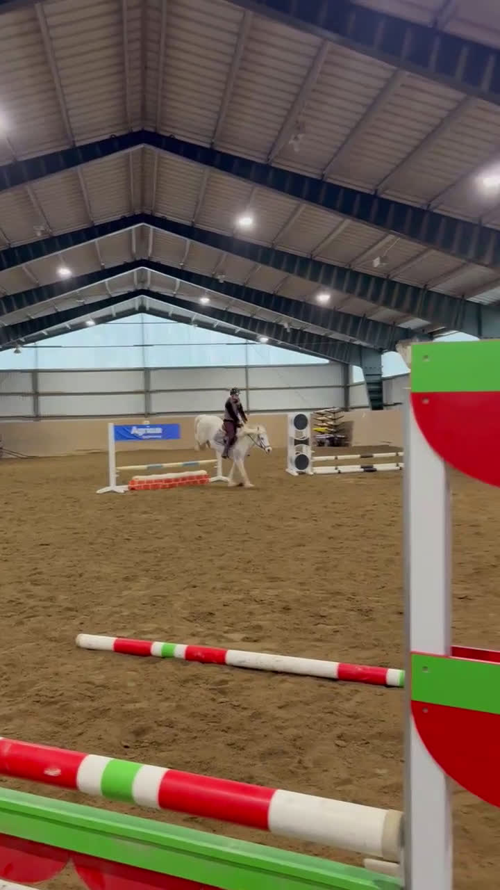 Allround hästar till salu: Fin allround ponny! - Video 2