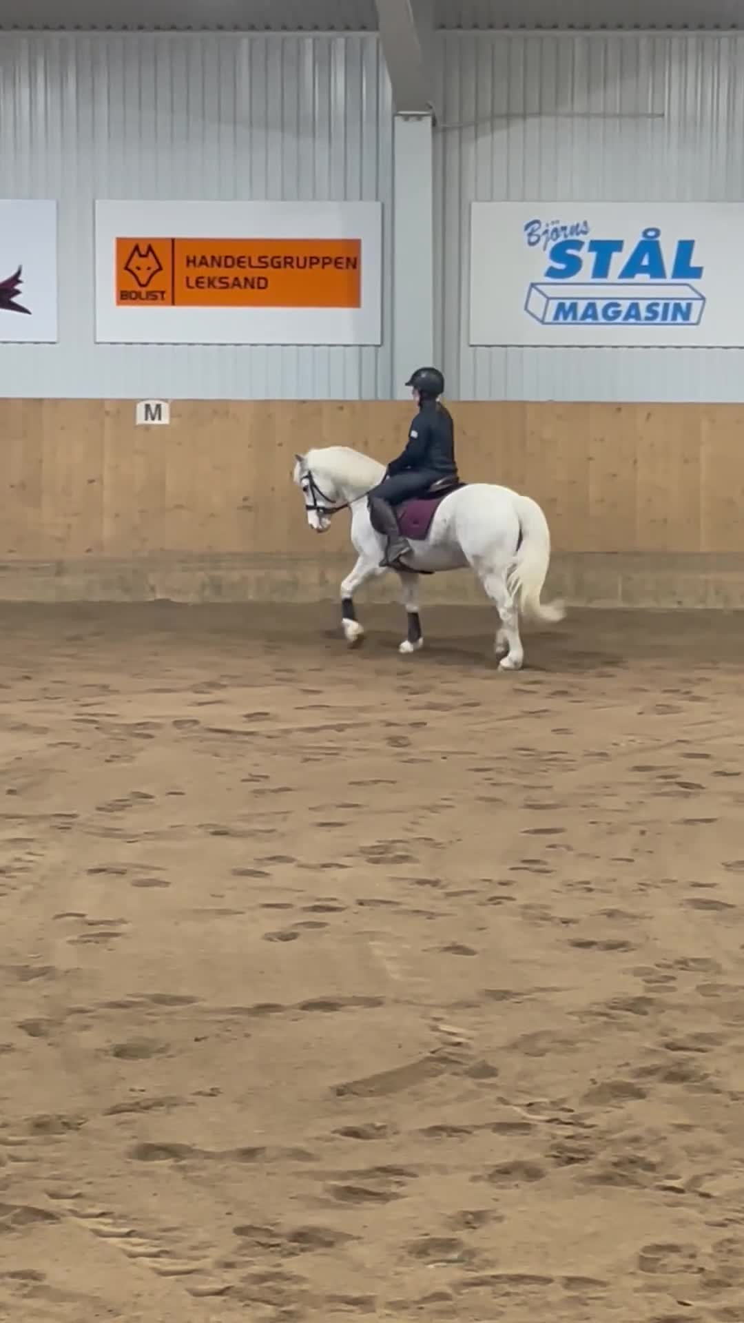 Hoppning hästar till salu: Härlig ponny med stort ❤️  i Dala-Floda - Video 2