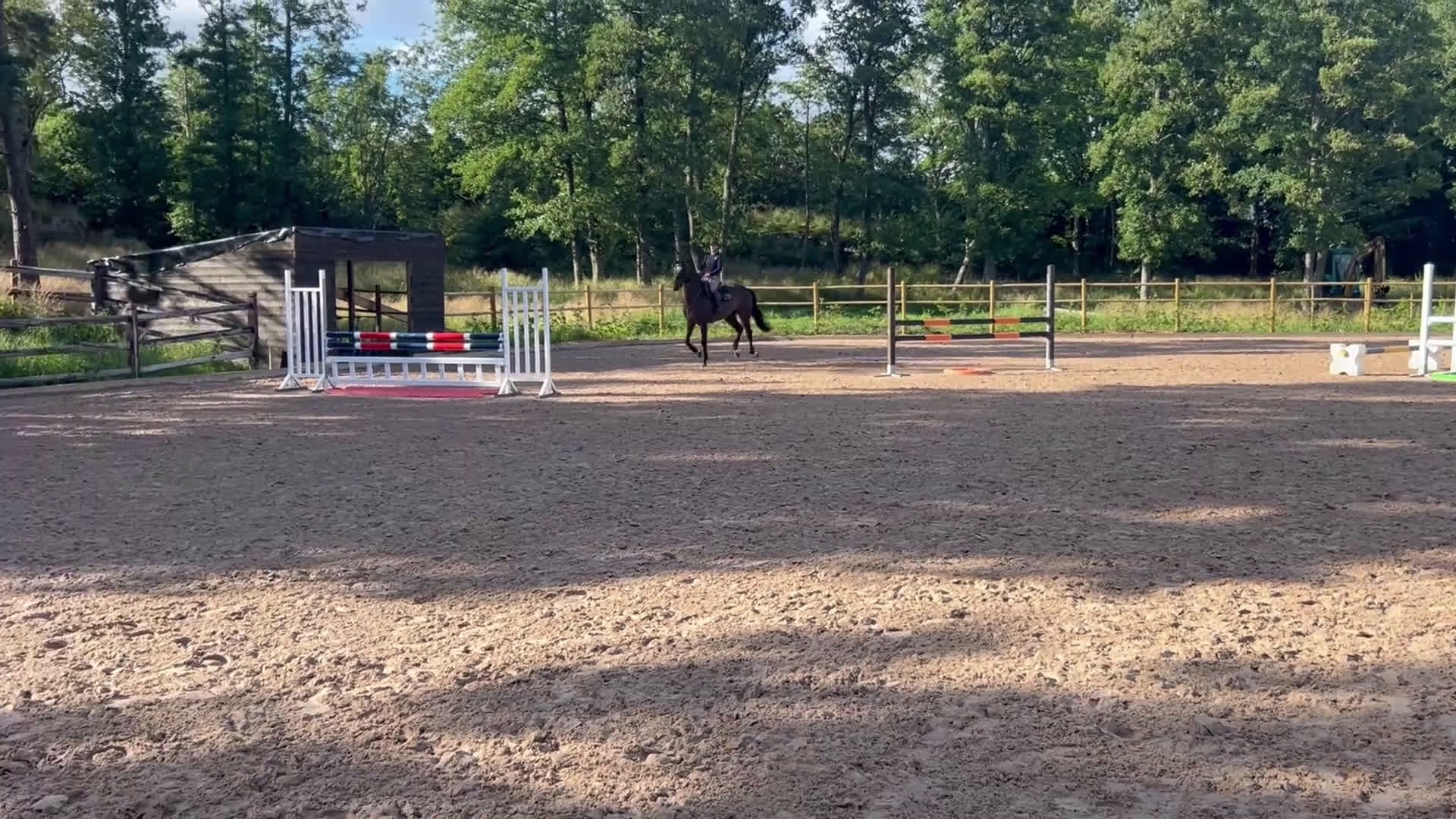 Hoppning hästar till salu: Fantastisk SWB valack i Billdal - Video 1