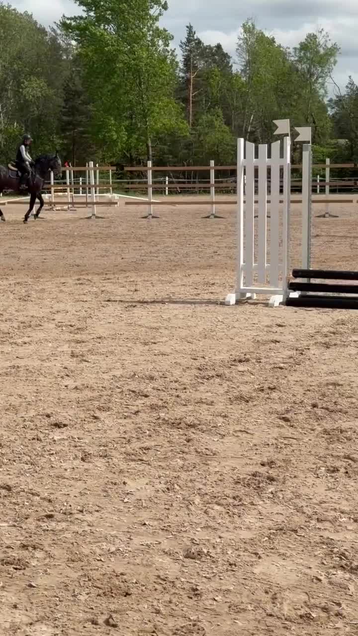 Allround hästar till salu: Trevlig 4-åring med allroundpotential - Video 2