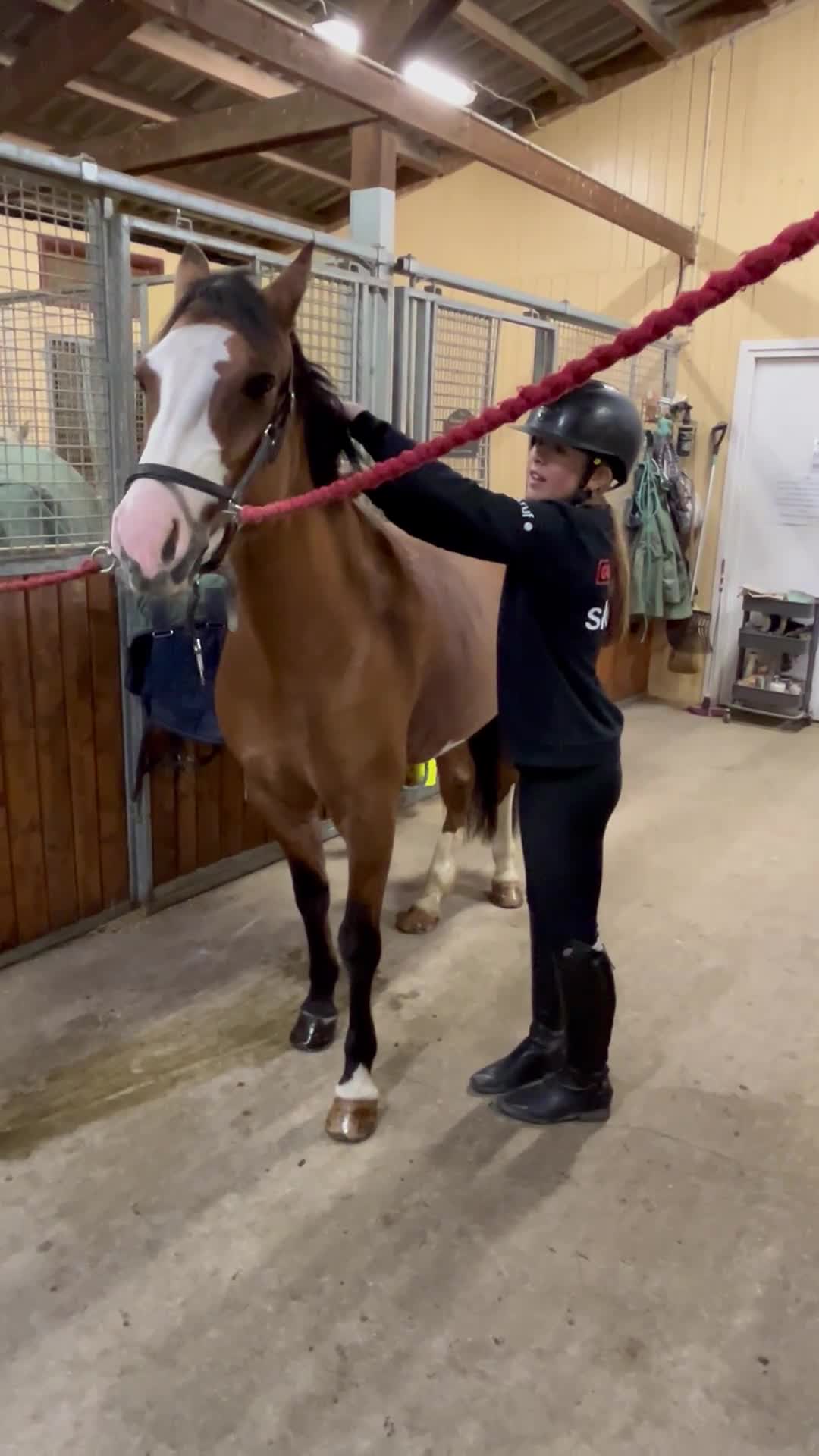 Allround hästar till salu: Ponny med stor potential  - Video 5