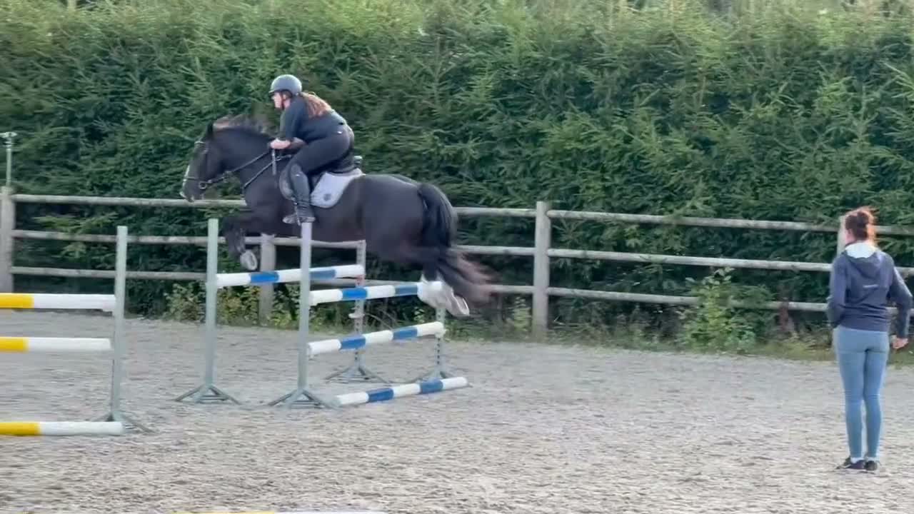 Allround hästar till salu: Irsk sportsponni selges! Allround!  i Mysen - Video 1