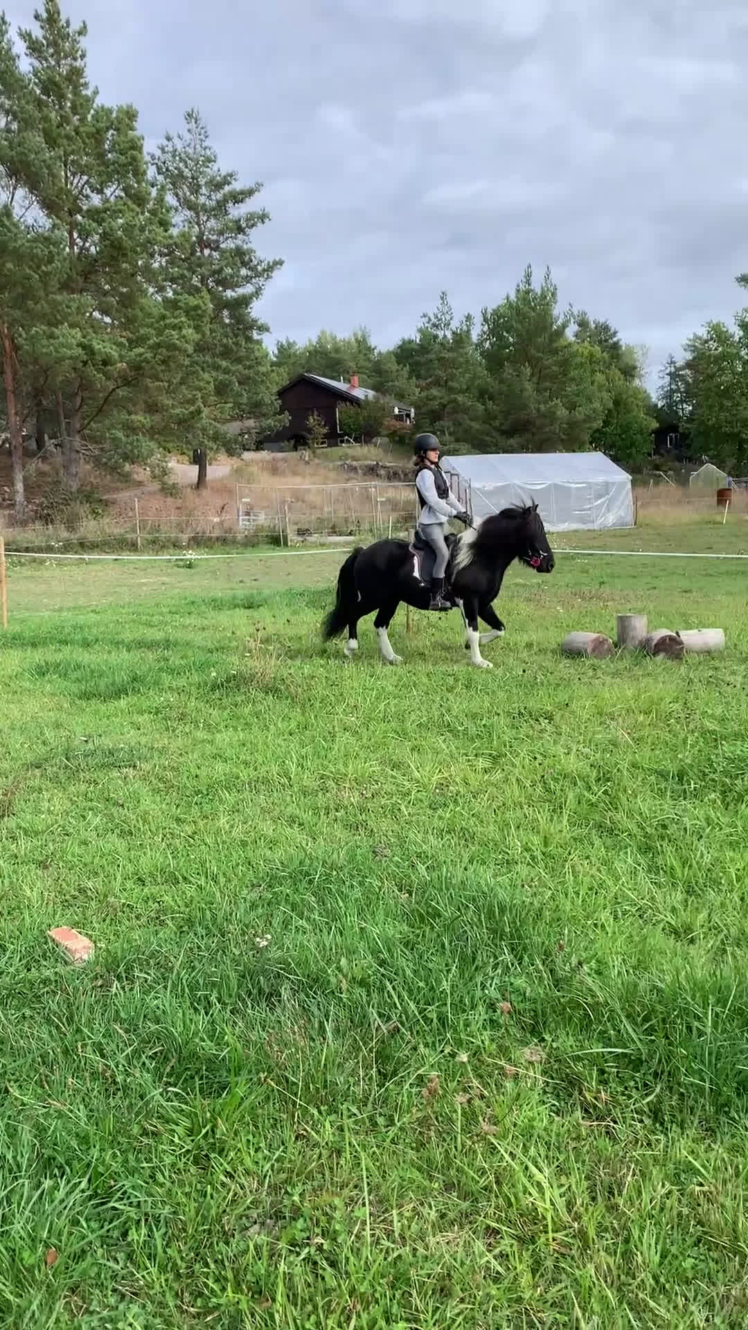 Allround hästar till salu: Två underbara valacker till salu i Månkarbo - Video 2