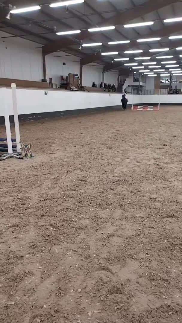  hästjobb finnes: hästtjej söker hästjobb på ridskola - Video 1