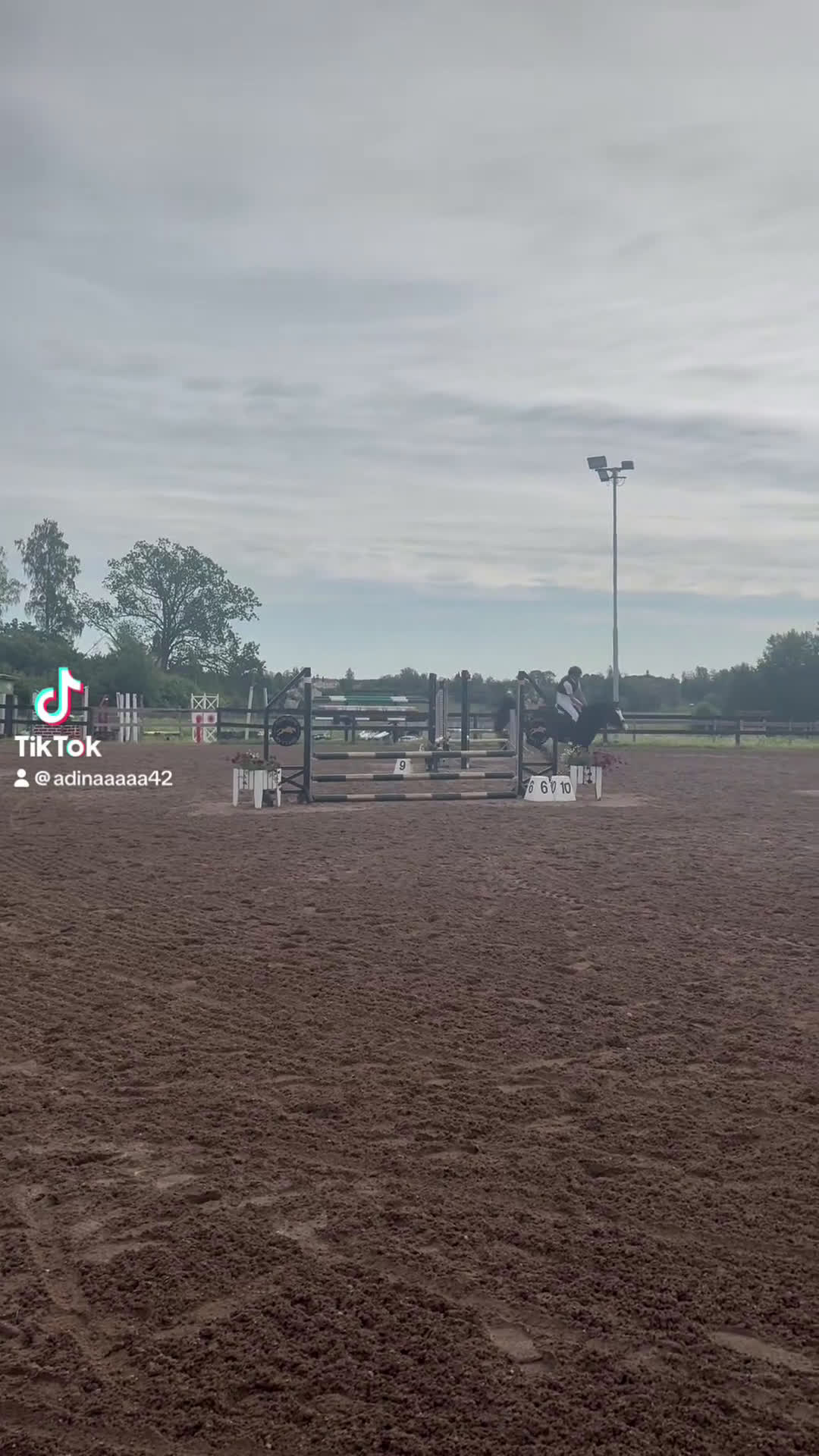 Hoppning hästar till salu: Rosettplockare/läromästare till salu - Video 5