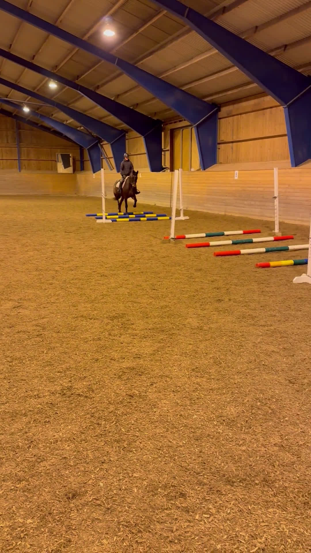 Allround hästar till salu: Trevlig Valack  i Nora - Video 2