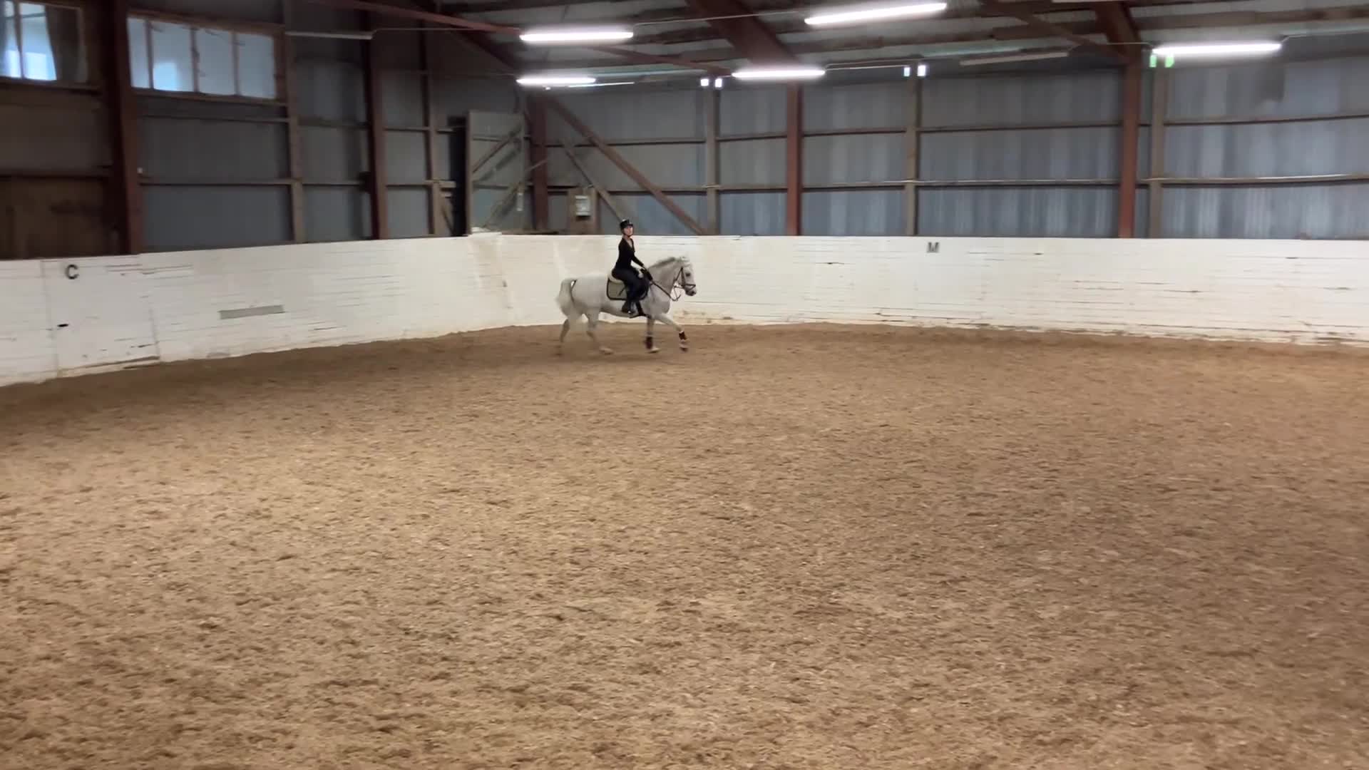 Allround hästar till salu: Fin allround ponny❤️‍🩹 i Nättraby - Video 2