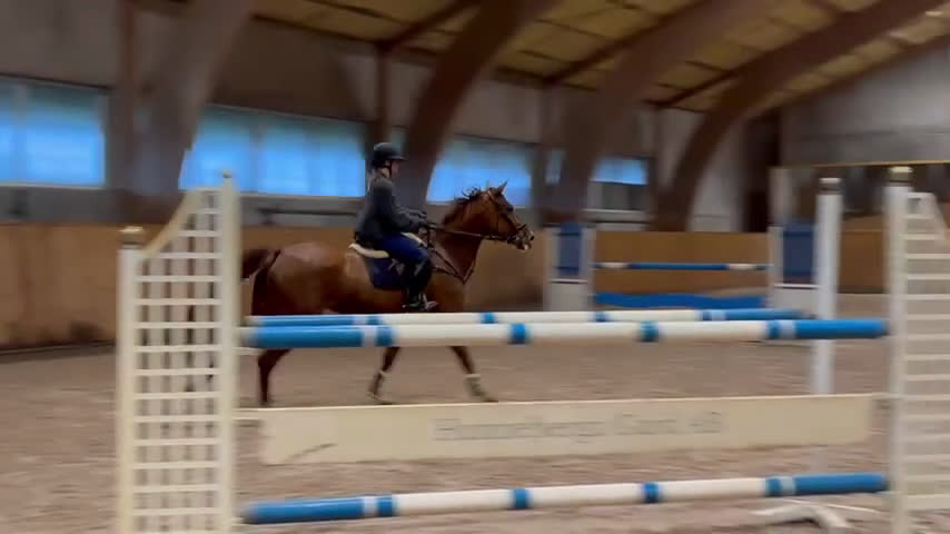 Hoppning hästar till salu: Fint sto till salu!  i Vellinge - Video 1