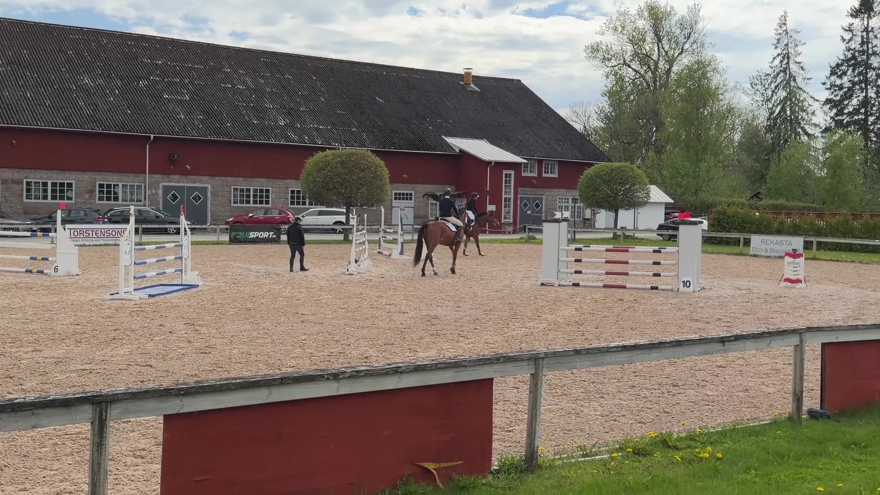 Hoppning hästar till salu: Härlig häst med ett väldigt stort hjärta - Video 1