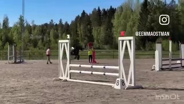 Allround hästar till salu: Perfekta ungponnyn med framtiden framför sig! - Video 2
