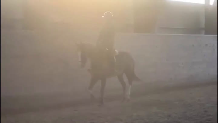 Allround hästar till salu: 5årig valack - ämne för fälttävlan? i Bottnaryd - Video 1