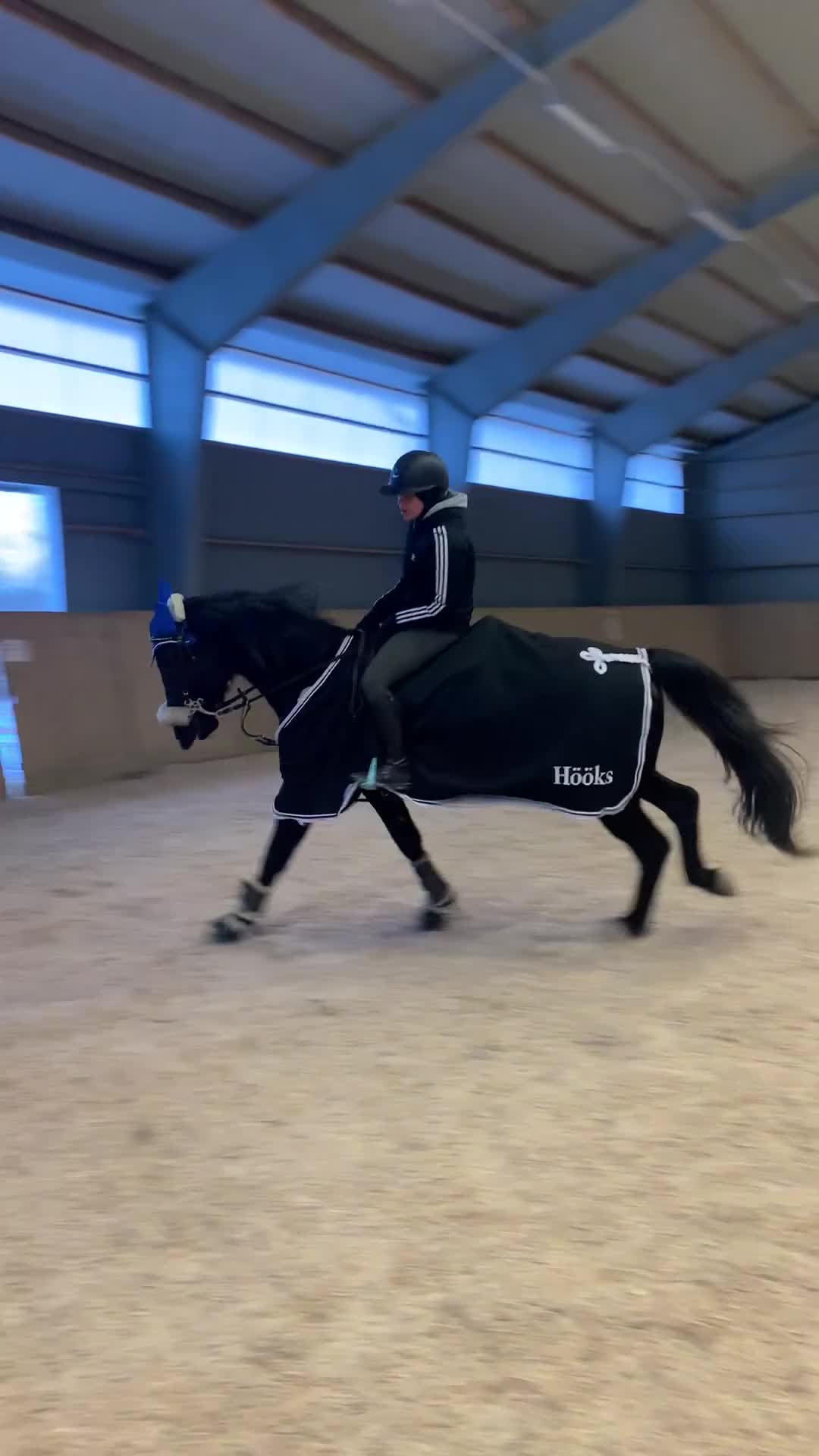Allround hästar till salu: Din nya bästa vän väntar! i Uddevalla - Video 3