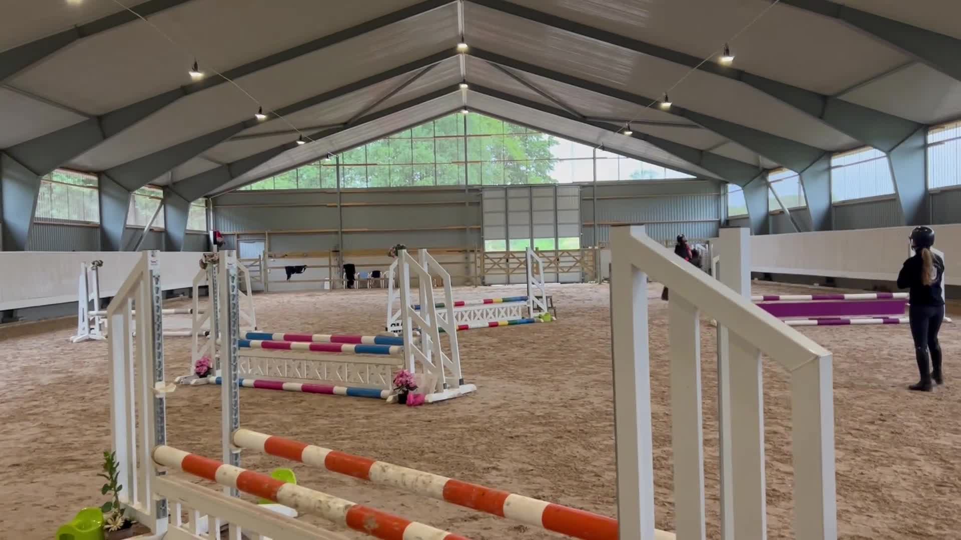 Allround hästar till salu: Fantastisk läromästare till den mindre ryttaren - Video 1