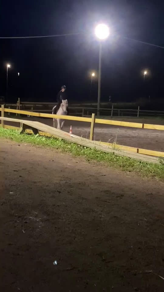  medryttarhäst finnes: Söker medryttarhäst i Täby - Video 2