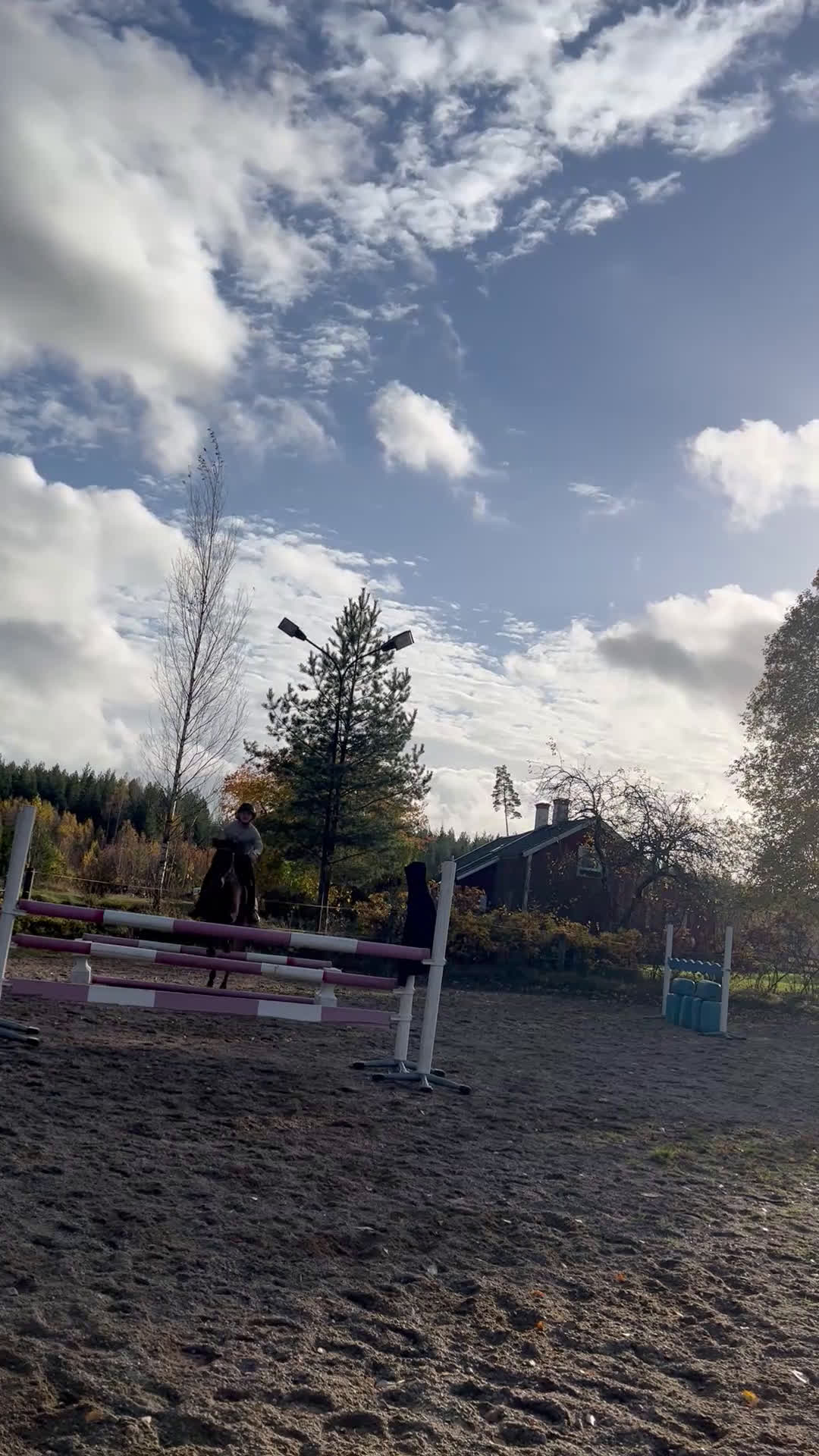 Hoppning hästar till salu: Projektponny med potential  i Valla - Video 2