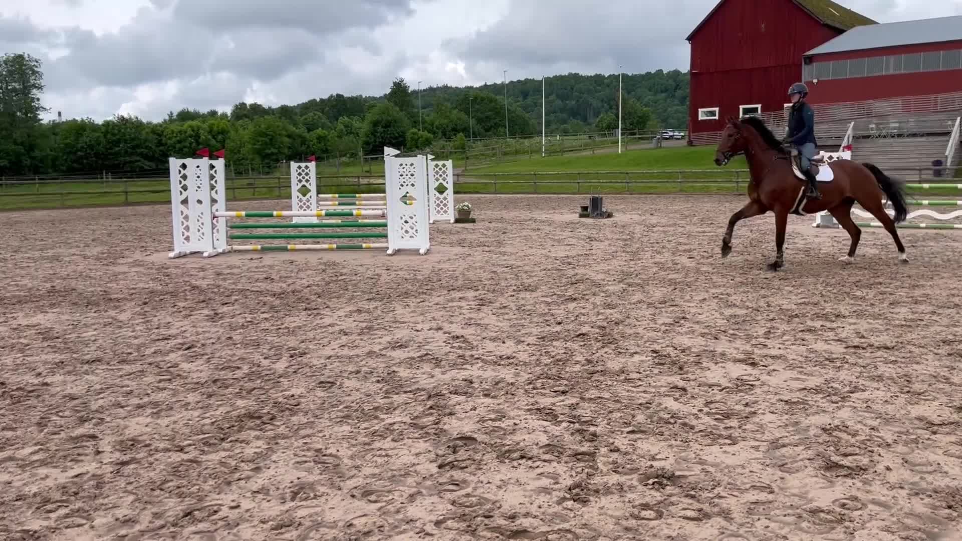 Hoppning hästar till salu: Storhoppande, modig valack e. Ike i Falköping - Video 1