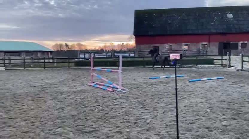  hästservice finnes: Nu finns det plats hos mig  i Hästveda - Video 1